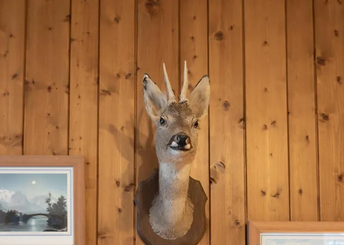Les Balcons Du Savoy